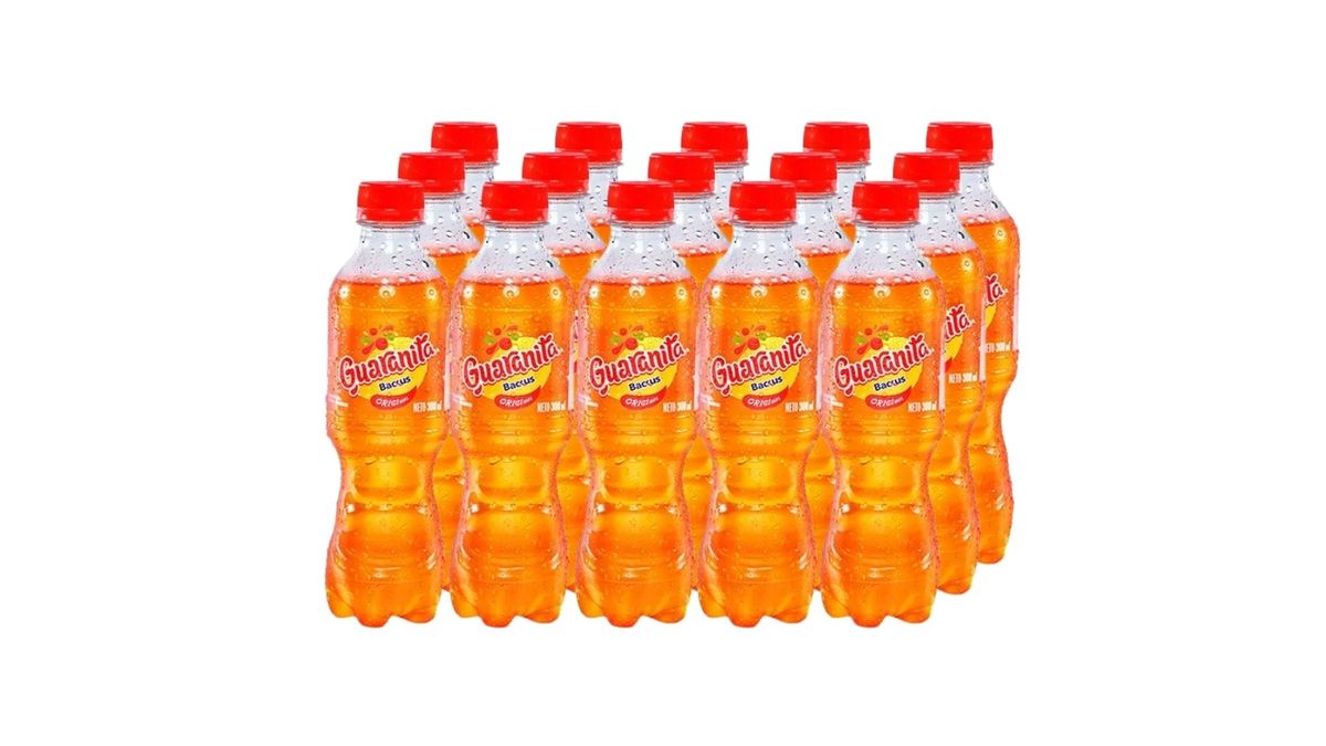 Vista 2 de GUARANITA - 300 ML